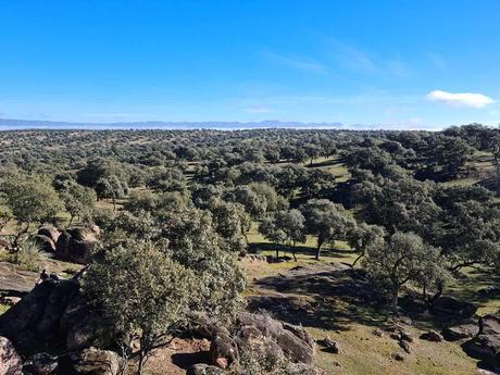 Finca Las Hazas, cerdo ibérico de bellota