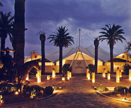 ¿Cómo se transforma una ciudad en inteligente? El ejemplo de la ruta del Tequila y la planificación estratégica del uruguayo Federico de Arteaga JOSE-CUERVO