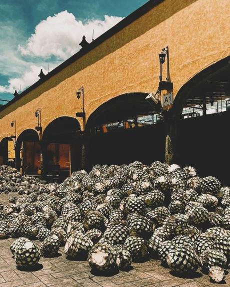 ¿Cómo se transforma una ciudad en inteligente? El ejemplo de la ruta del Tequila y la planificación estratégica del uruguayo Federico de Arteaga dd