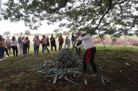 ¿Cómo se transforma una ciudad en inteligente? El ejemplo de la ruta del Tequila y la planificación estratégica del uruguayo Federico de Arteaga MC_CamposDeAgave (9)