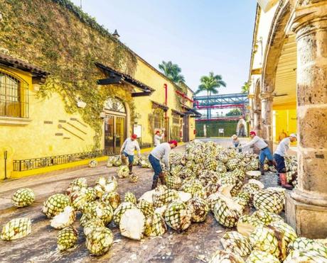 ¿Cómo se transforma una ciudad en inteligente? El ejemplo de la ruta del Tequila y la planificación estratégica del uruguayo Federico de Arteaga assa