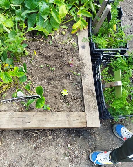 El Museo de la Energía presenta un mes de febrero cargado de actividades 4