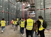 Fundación Mahou Miguel promueve formación especialista Logística junto Tomillo