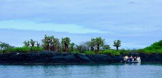 LA MEJOR SOLUCIÓN PARA ASEGURAR VIAJES MEMORABLES