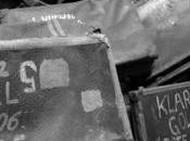 Internacional Holocausto, enero