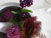 ¿Usas Cosméticos Naturales pare Cuidado Piel?