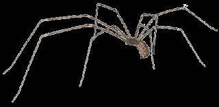 ¿La lluvia, el frío, una hora libre?