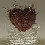 Las Canciones del Agua [Vinilo]