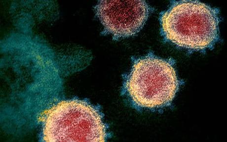 Estudio confirma la 'inmunidad innata' a la Covid-19; por eso algunas personas no se contagian