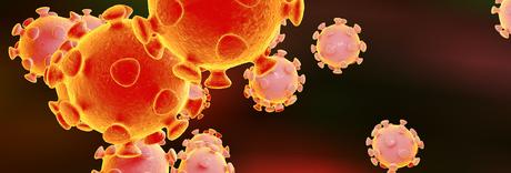 Estudio confirma la 'inmunidad innata' a la Covid-19; por eso algunas personas no se contagian