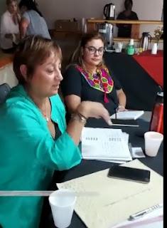 Registro de Violencia Familiar y de Género: Ahora en Piedra del Águila