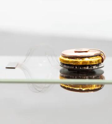 Neuralink, el proyecto de Elon Musk para implantar chips y crear nuevas tecnologías.