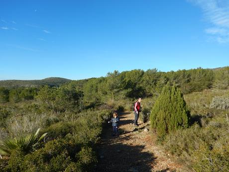 Camí al Pla de les Basses Roges