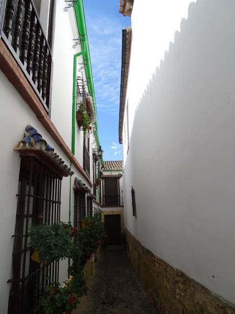 De ronda por Ronda, la ciudad malagueña partida por un tajo de 100 metros