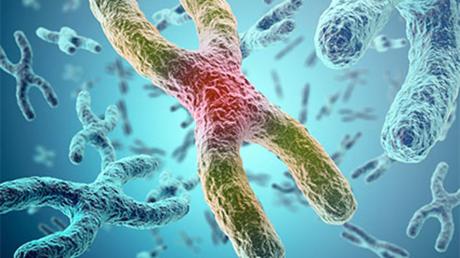 CONGRESO NACIONAL DE BIOÉTICA CONGRESO NACIONAL DE BIOÉTICA