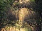 4.949 prodigiosa telaraña...