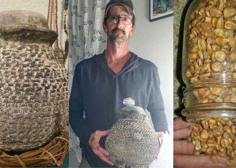 Granjero encuentra un tesoro, no te imaginarás de que se trata 1