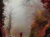 4.950 tardes invierno...