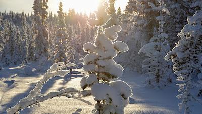 Light and white Light and white