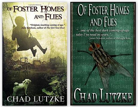De hogares de acogida y moscas, de Chad Lutzke