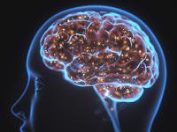 El virus de Epstein-Barr desencadena la esclerosis múltiple