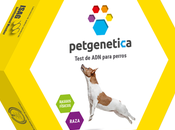 empresa española lanza test revoluciona cuidado mascotas
