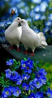 4.954 - EN UNA FUENTE...