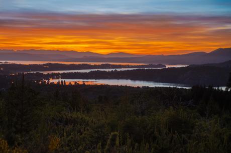 La Ruta de las Araucarias Milenarias: una experiencia de ensueño en los Andes