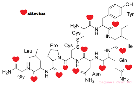 La química con tu «crush»