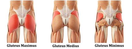 Image result for glutes