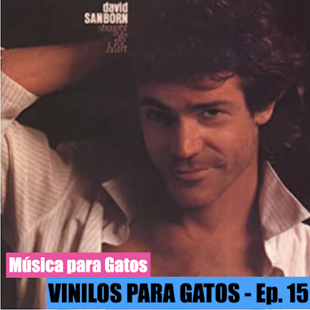 VINILOS PARA GATOS - EP. 15 - David Sanborn - Straight To The Heart (1984)