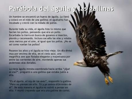 Y tú, ¿eres águila o gallina?