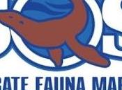 importancia cuidar mares labor Rescate Fauna Marina