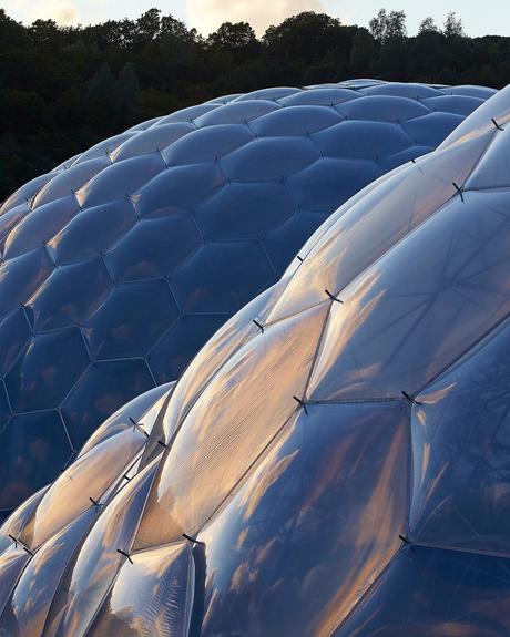 Eden project, una selva tropical construída en una antigua cantera inglesa como centro educativo y turístico 269603287_10157888444611853_8351483617408440151_n