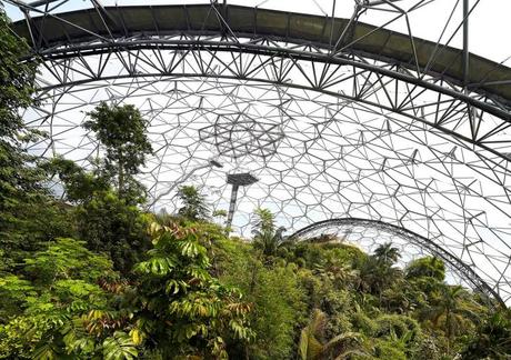 Eden project, una selva tropical construída en una antigua cantera inglesa como centro educativo y turístico fdzzvrqi_0