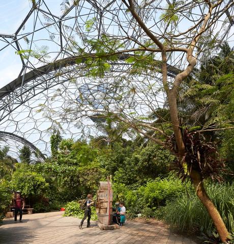 Eden project, una selva tropical construída en una antigua cantera inglesa como centro educativo y turístico 96118_N95_a3