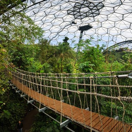 Eden project, una selva tropical construída en una antigua cantera inglesa como centro educativo y turístico Eden project, una selva tropical construída en una antigua cantera inglesa como centro educativo y turístico