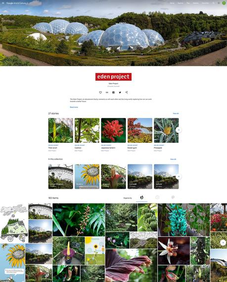 Eden project, una selva tropical construída en una antigua cantera inglesa como centro educativo y turístico 218422079_10157641817606853_1666029424490582292_n