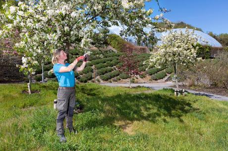 Eden project, una selva tropical construída en una antigua cantera inglesa como centro educativo y turístico 185215055_10157516359891853_1880299569500005236_n