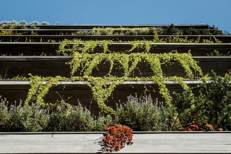 Ícaro Jardins da Graciosa, Curitiba, PR, Brazil / Studio Arthur Casas + Gabriel Ranieri Ícaro Jardins da Graciosa, Curitiba, PR, Brazil / Studio Arthur Casas + Gabriel Ranieri