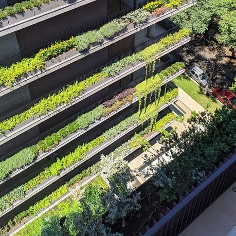 Ícaro Jardins da Graciosa, Curitiba, PR, Brazil / Studio Arthur Casas + Gabriel Ranieri icaro_foto