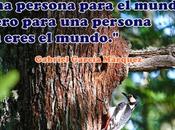 sentimiento sublime