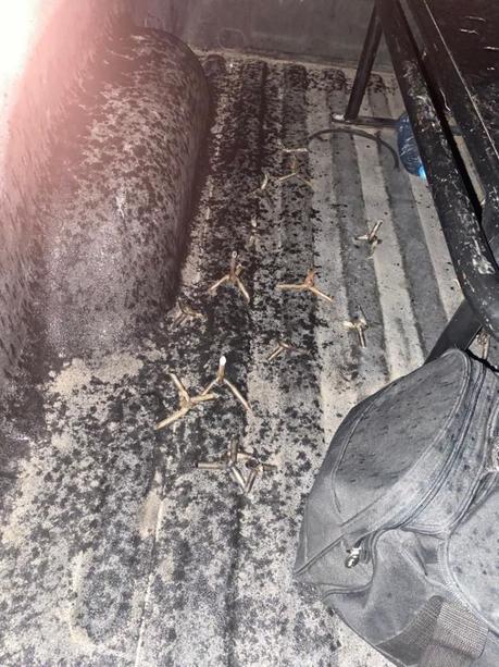 (Video) Persecución en la zona metropolitana deja un policía estatal herido