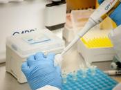 Científicos advierten próxima variante covid podría mucho peligrosa ómicron