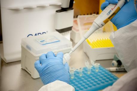 Científicos advierten que la próxima variante del covid podría ser mucho más peligrosa que ómicron