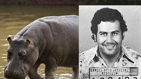 El ruido de las cosas al caer. Juan Gabriel Vásquez