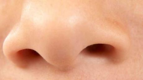 Investigadores revelan a través de un modelo de nariz humana cómo comienza la infección por SARS-CoV-2