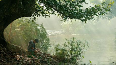 Rotterdam 2022 - Parte 10: Miradas asiáticas Rotterdam 2022 - Parte 10: Miradas asiáticas