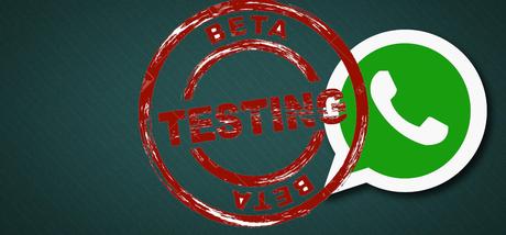 como descargar whatsapp beta en ios y android