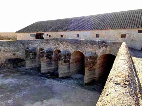 Molino de Malemocho en Las Tablas de Daimiel